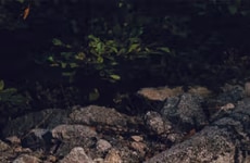 High-Performance Duffel Bags