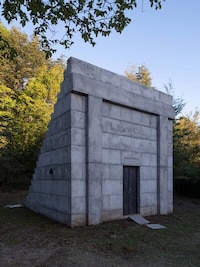 Forested Concrete Pavilions
