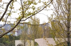 Sculptural Cultural Hubs