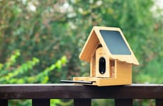 AI-Powered Smart Bird Feeders