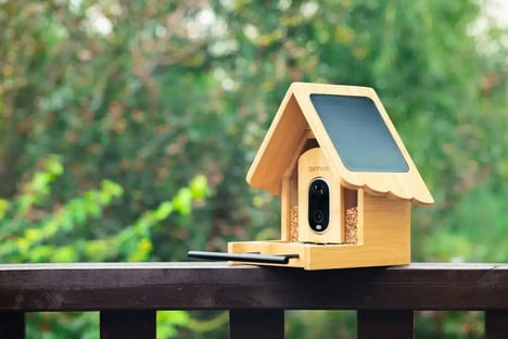 AI-Powered Smart Bird Feeders