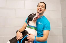 Animal Shelter-Supporting Brand Initiatives