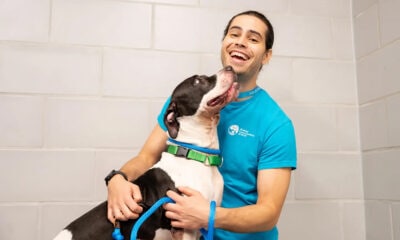 Animal Shelter-Supporting Brand Initiatives