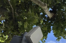 Real-Time Urban Data Collection