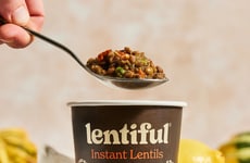 Festive Lentil Meals