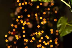 Sustainable Hometel Events Article Thubnail