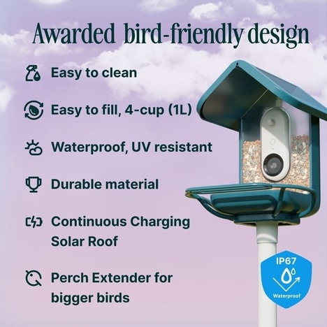 User-Friendly Smart Bird Feeders