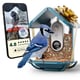 User-Friendly Smart Bird Feeders Image 3