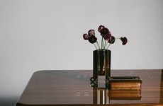 Sculptural Collector Accessories