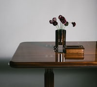 Sculptural Collector Accessories