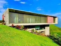 Brutalist Jungle Sanctuaries
