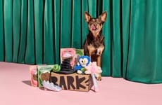 Textural Spellbinding Dog Toys