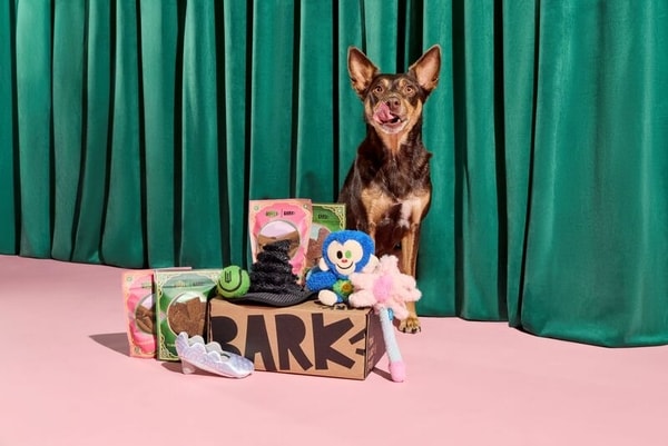 Textural Spellbinding Dog Toys