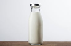 Milk-Themed Mall Exhibits