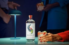 Non-Alcoholic Spirit Campaigns