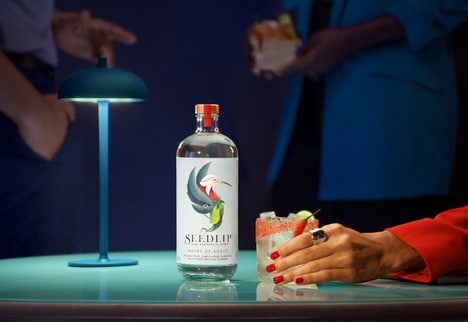 Non-Alcoholic Spirit Campaigns