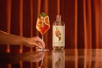 Non-Alcoholic Spirit Campaigns Image 3