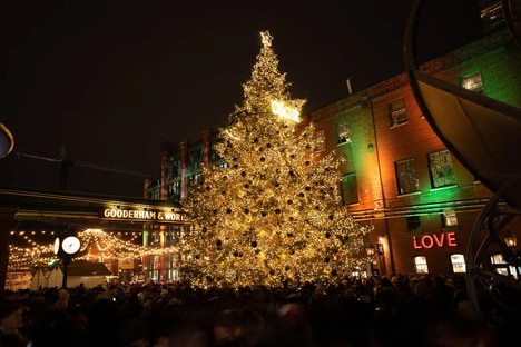 Beauty-Branded Holiday Markets