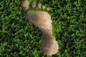 Electric Transition-Supporting Advisory Services Article Thubnail