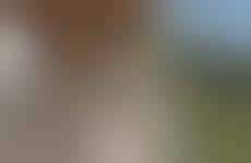 Contemporary Beach Houses