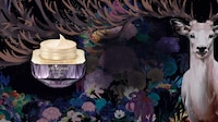 Stunningly Extravagant High-End Beauty Image 3
