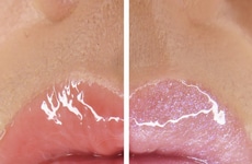 Shine-Forward Lip Trios