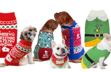 Holiday-Centric Pet Outfits