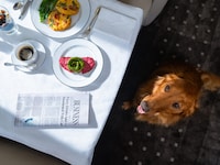 Relaxing Private Jet Experiences Image 4