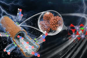 Eco-Focused Electrode Architecture Projects Article Thubnail