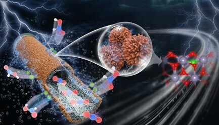 Eco-Focused Electrode Architecture Projects Article Thubnail