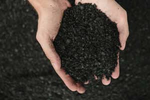 Biochar-Based Plastic Foam Alternatives Article Thubnail