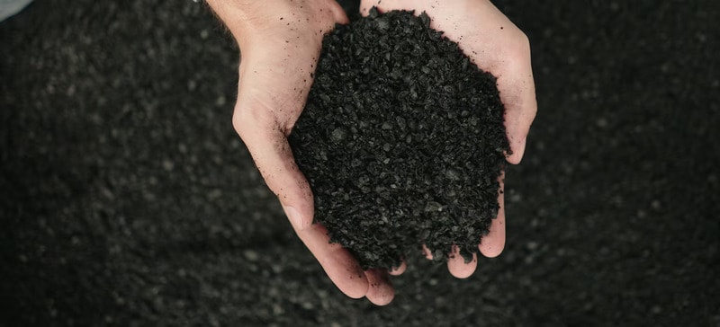 Biochar-Based Plastic Foam Alternatives Article Thubnail