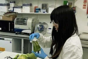 Upcycled Agricultural Waste Techniques Article Thubnail