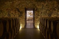 Immersive Wine Galas Image 2