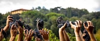 Immersive Wine Galas Image 3