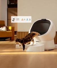 AI-Assisted Litter Boxes Image 1