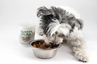 Dog-Friendly Salads