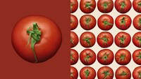 Playful Tomato Athletes Image 1