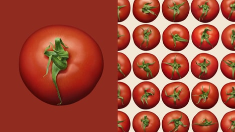 Playful Tomato Athletes