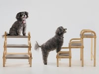 Seamless Pet Furniture