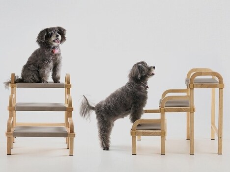 Seamless Pet Furniture