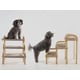 Seamless Pet Furniture Image 1
