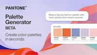 AI Color Scheme Generators Image 4