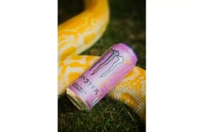 Refreshingly Tropical Energy Drinks