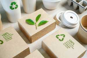 Cellulose Research Projects Article Thubnail