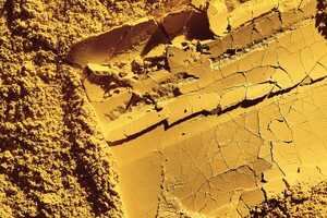 CO₂-Derived Protein Bars Article Thubnail