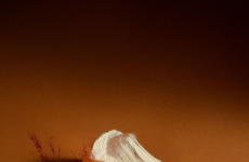 4-in-1 Probiotic Capsules