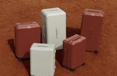 Earth-Toned Luggage Collections