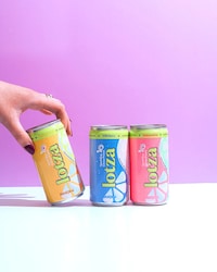 Non-Alcoholic Party Punches Image 1