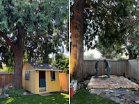 Dual-Workspace Backyard Sheds Image 4